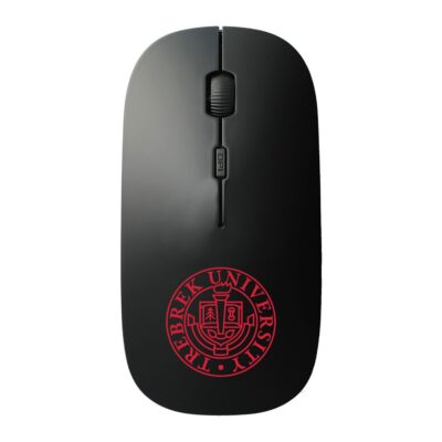 Accel Portable Wireless Mouse And Pad