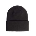 Coal Uniform Knit Beanie - 2