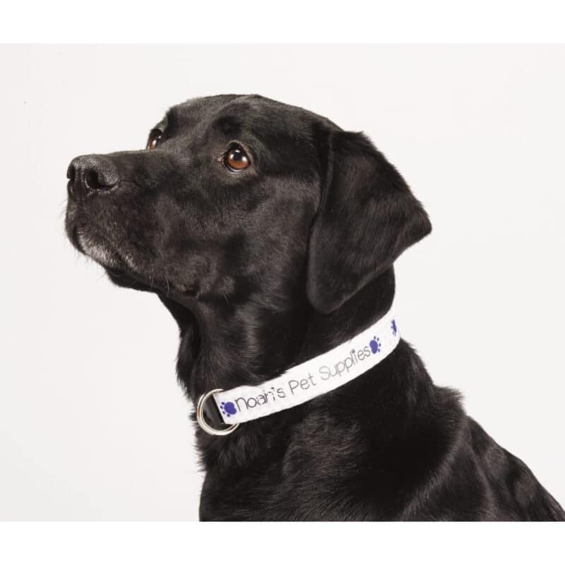 Full Color 1'' Wide Adjustable Pet Collar - 1