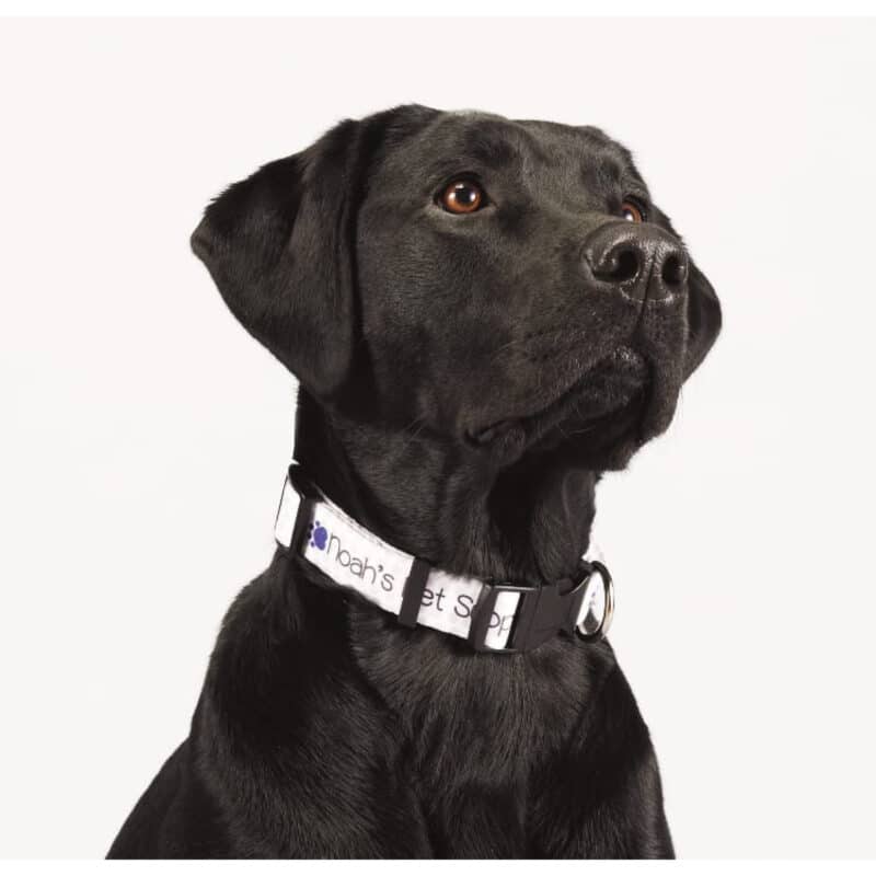 Full Color 1'' Wide Adjustable Pet Collar - 3