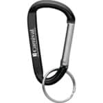 Small Carabiner Key Ring - 2