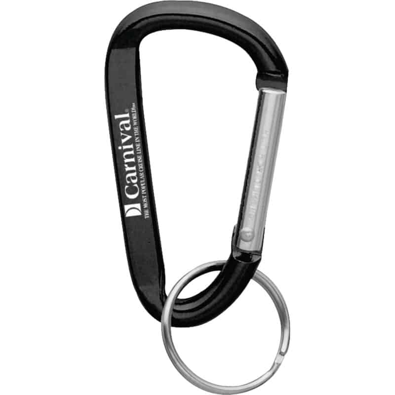 Small Carabiner Key Ring - 2