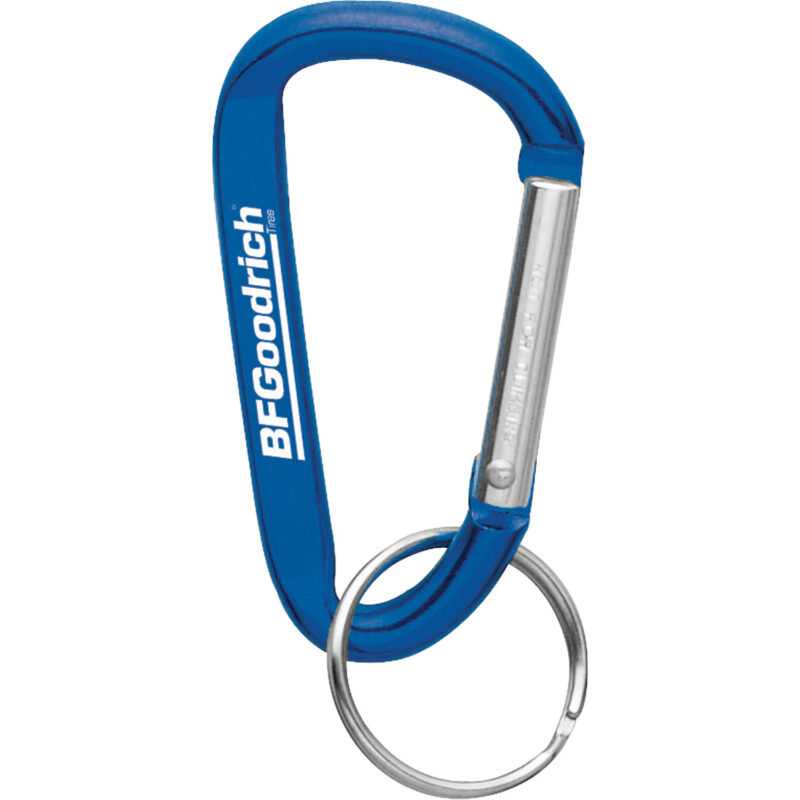 Small Carabiner Key Ring - 6