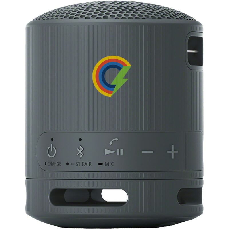 Sony SRS-XB100 Bluetooth Speaker - 2
