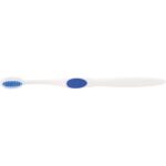Winter Accent Toothbrush - 1