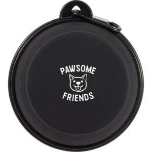 Collapsible Slow Feeder Bowl