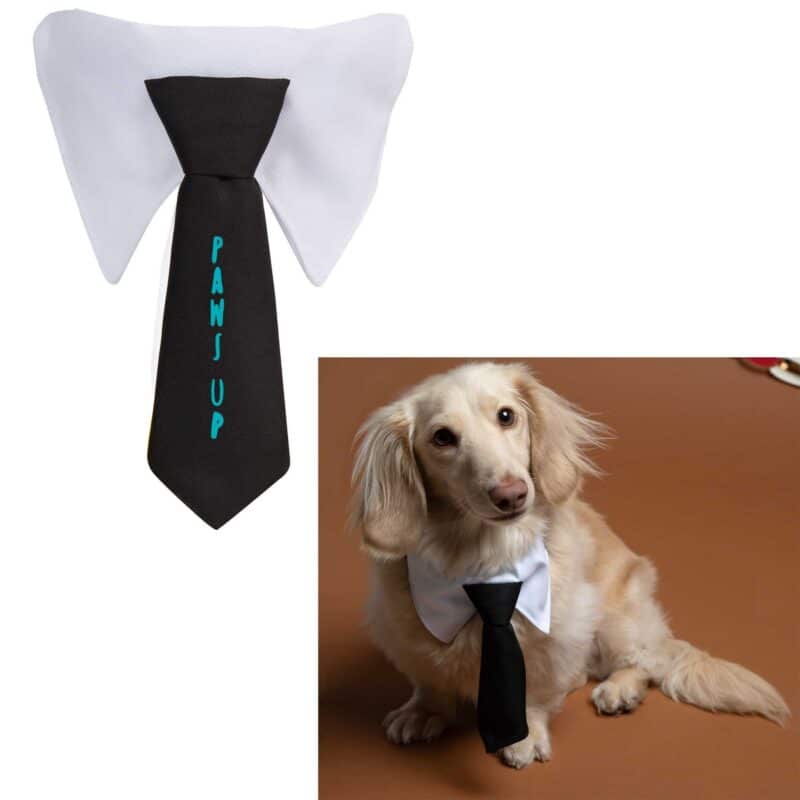 Paws & Claws Pet Neck Tie Collar - 2