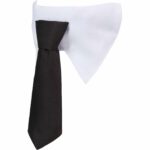 Paws & Claws Pet Neck Tie Collar - 3