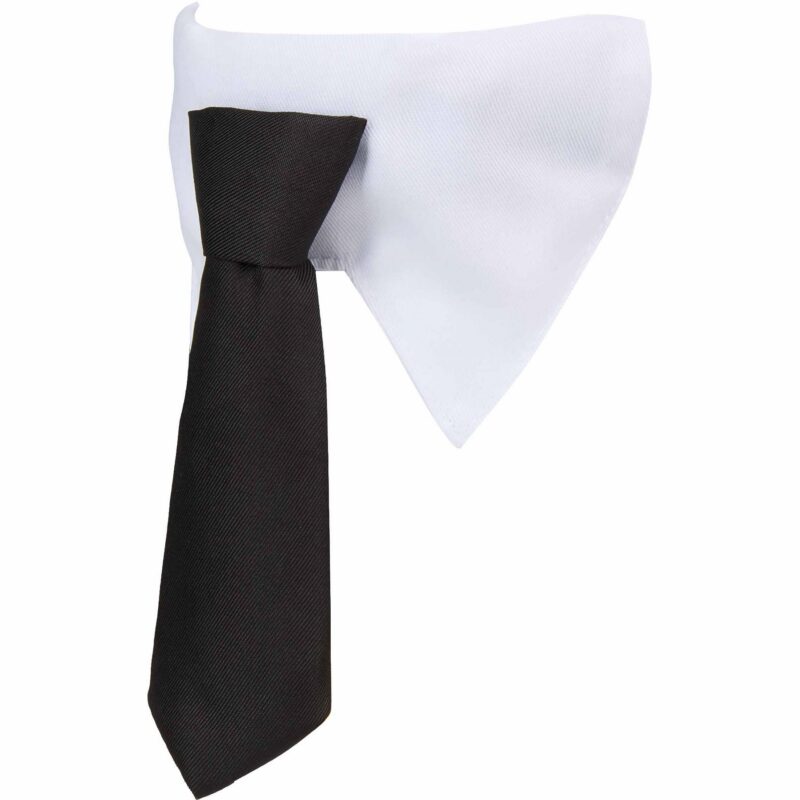 Paws & Claws Pet Neck Tie Collar - 3