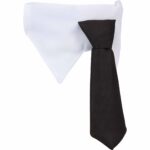 Paws & Claws Pet Neck Tie Collar - 4
