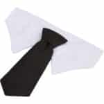 Paws & Claws Pet Neck Tie Collar - 5
