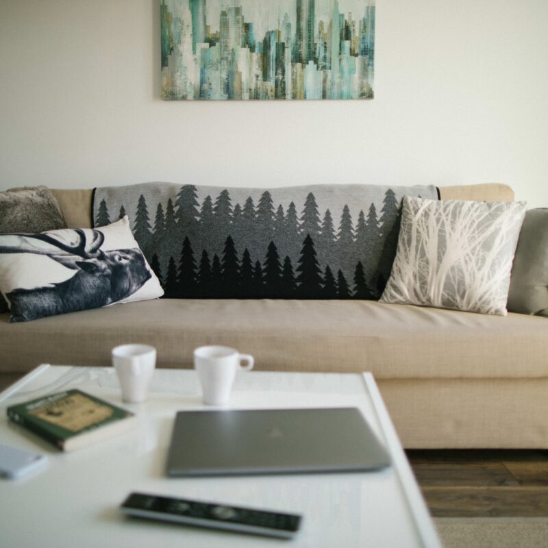 tentree Organic Cotton Juniper Blanket - 8
